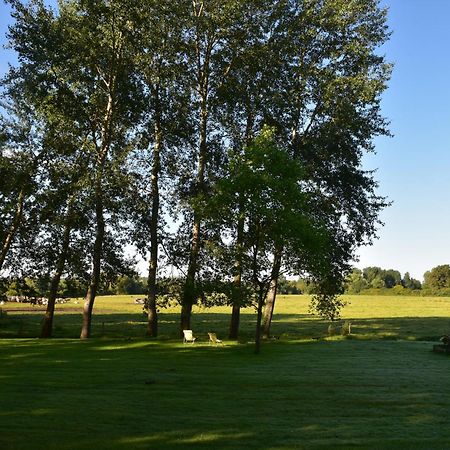 Domaine De L'Ermitage Bed and Breakfast Berry-Bouy Eksteriør billede