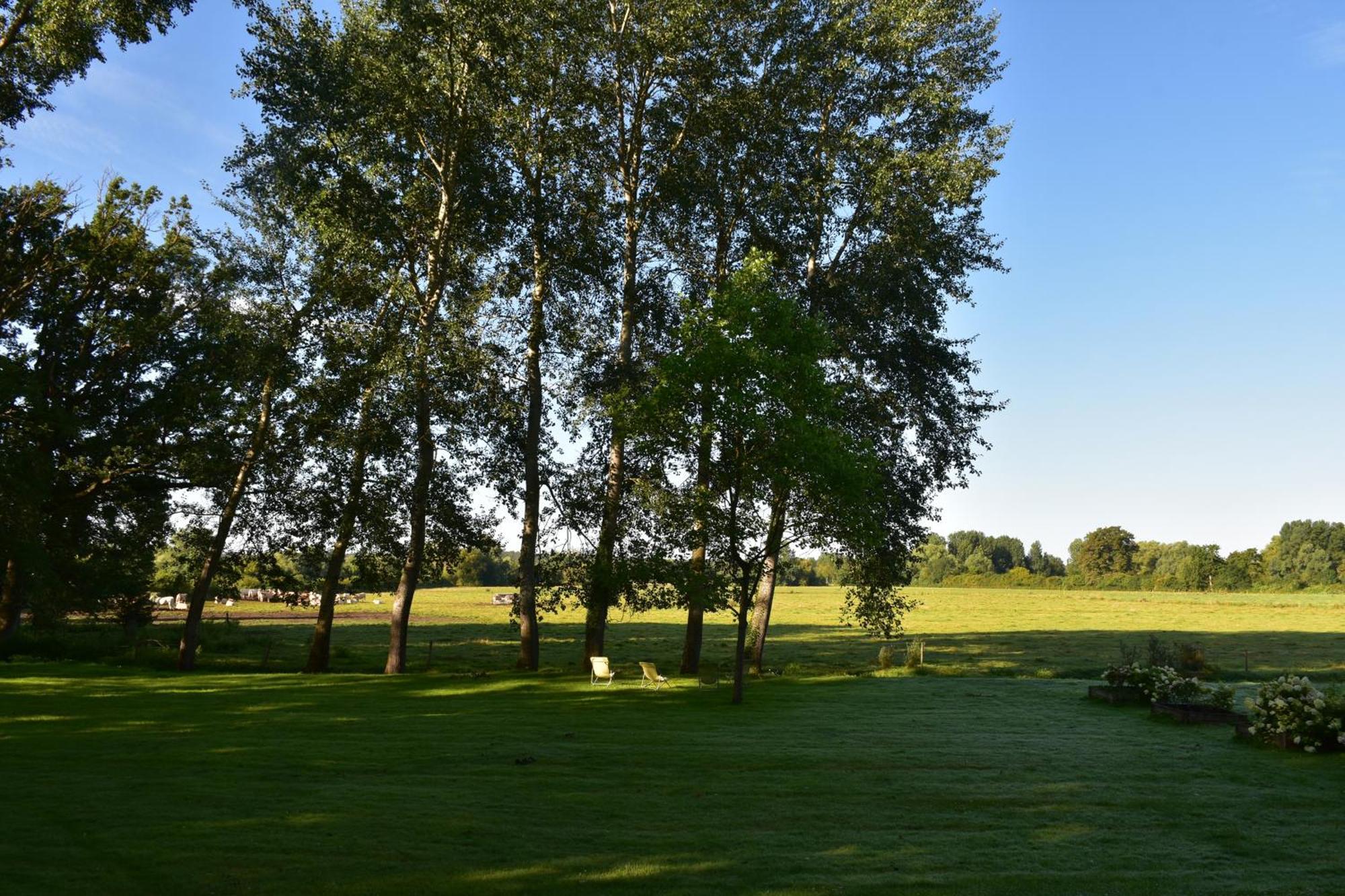 Domaine De L'Ermitage Bed and Breakfast Berry-Bouy Eksteriør billede