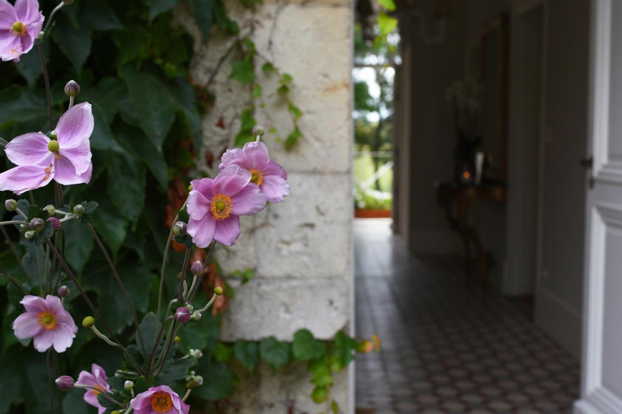 Domaine De L'Ermitage Bed and Breakfast Berry-Bouy Eksteriør billede